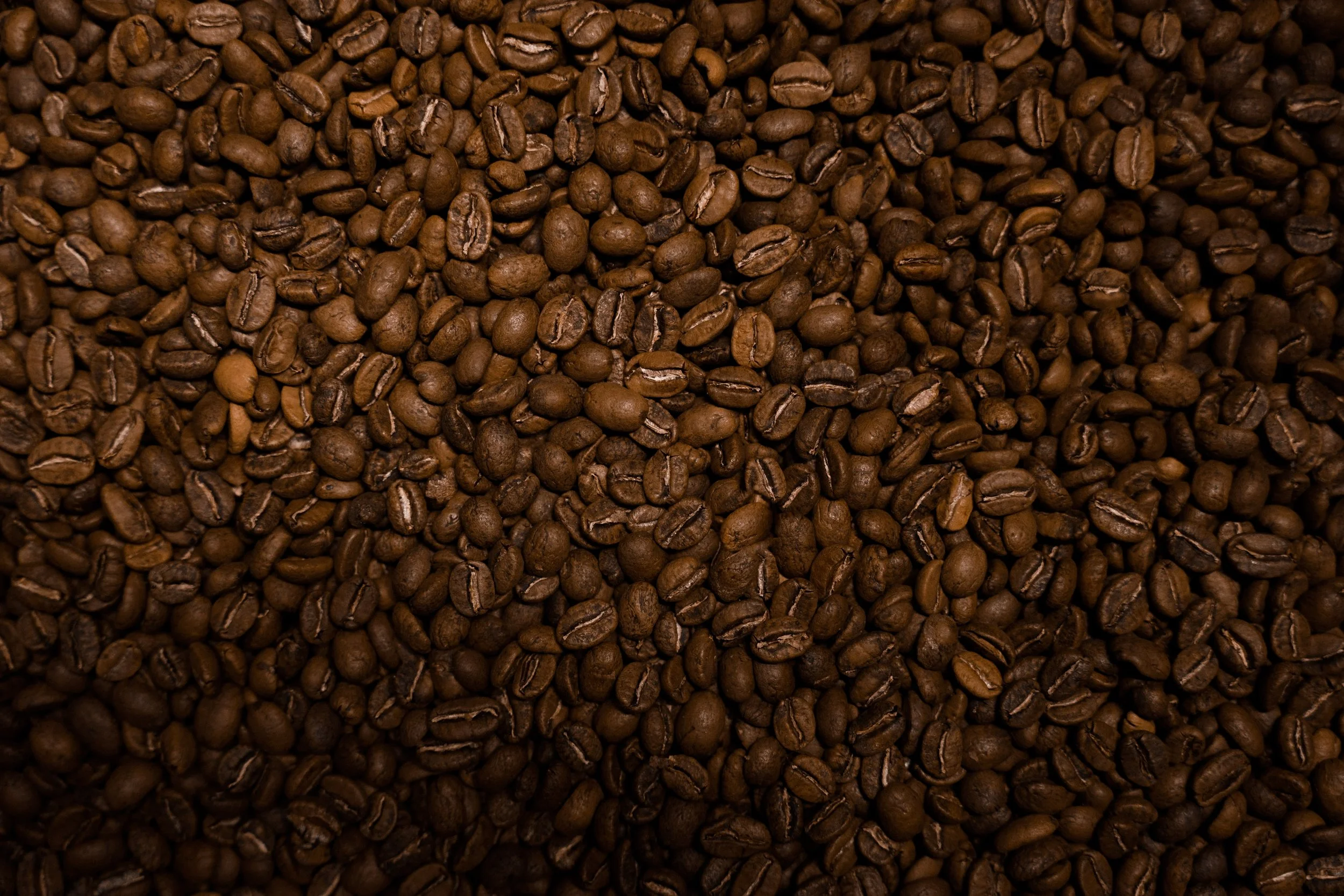 Black Velvet Coffee Roaster | Espresso & Wine Bar in Mammoth Lakes, CA (3)