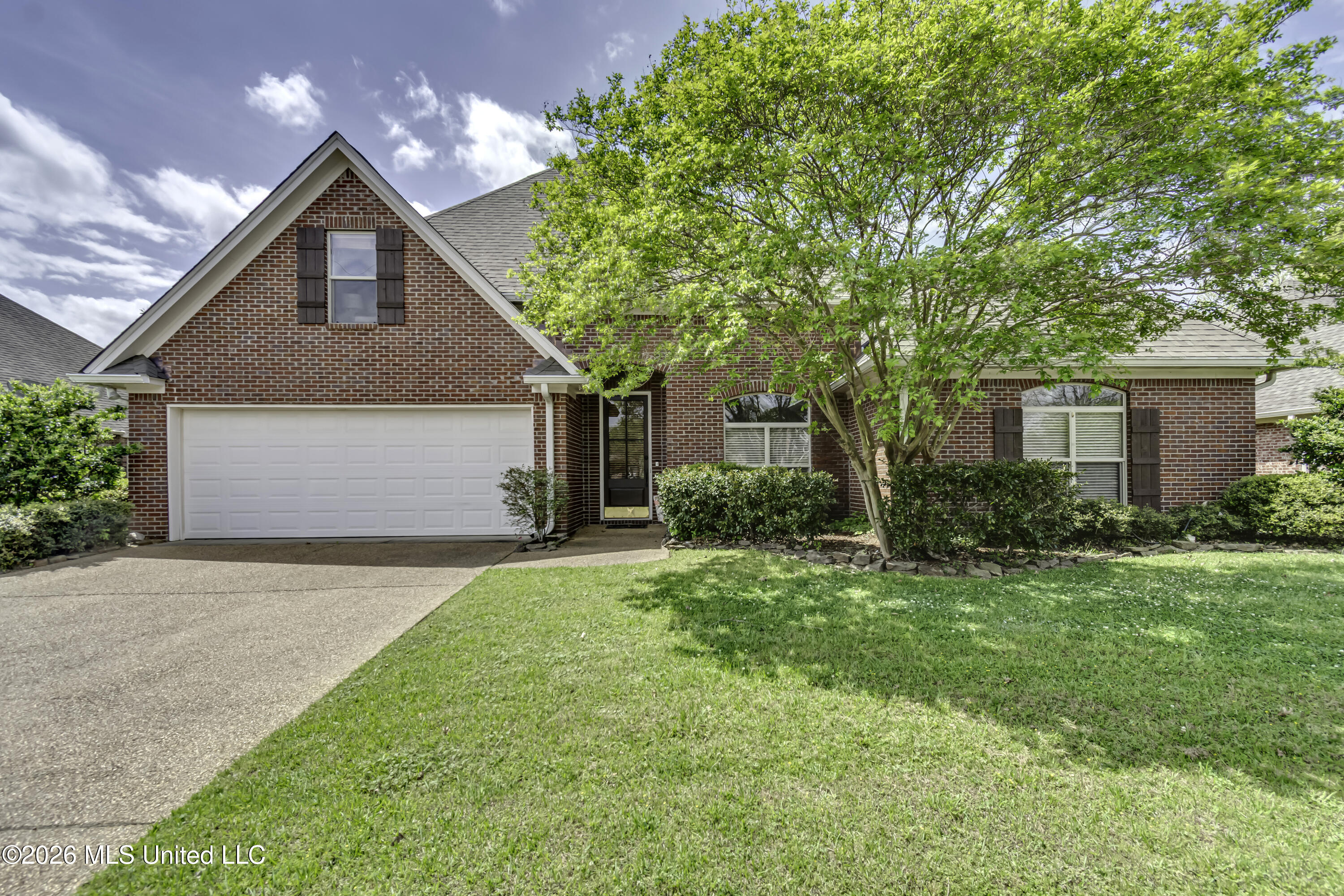 Renee Grimes in Flowood, MS (3)