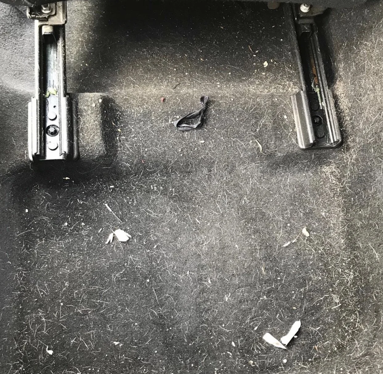 Prime Shiners Mobile Auto Detailing in Berkeley, CA (5)