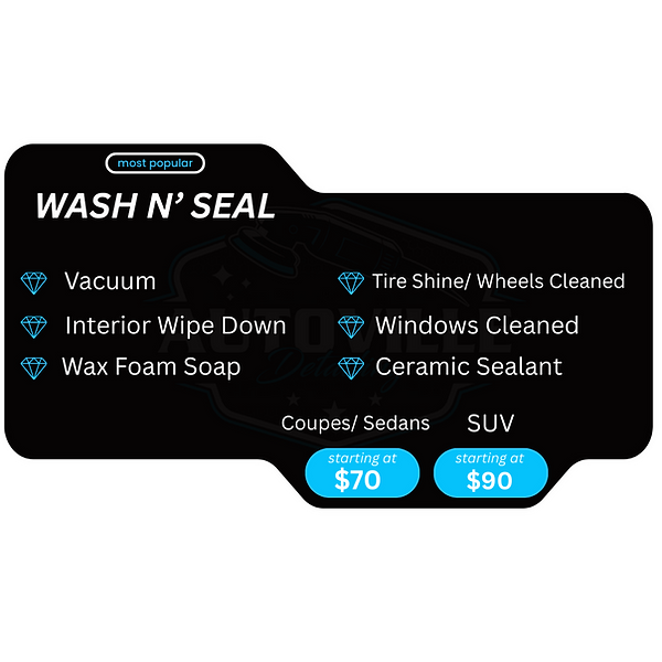 Autoville Mobile Detailing in Chatsworth, CA (2)