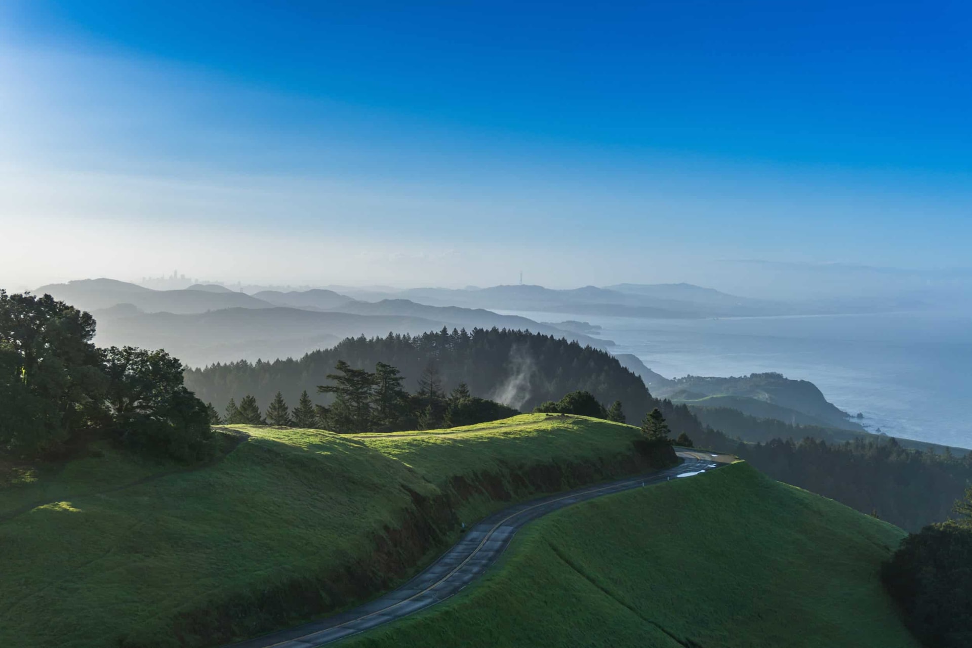 Alexander Narodny | Marin County Real Estate Expert in Kentfield, CA (2)