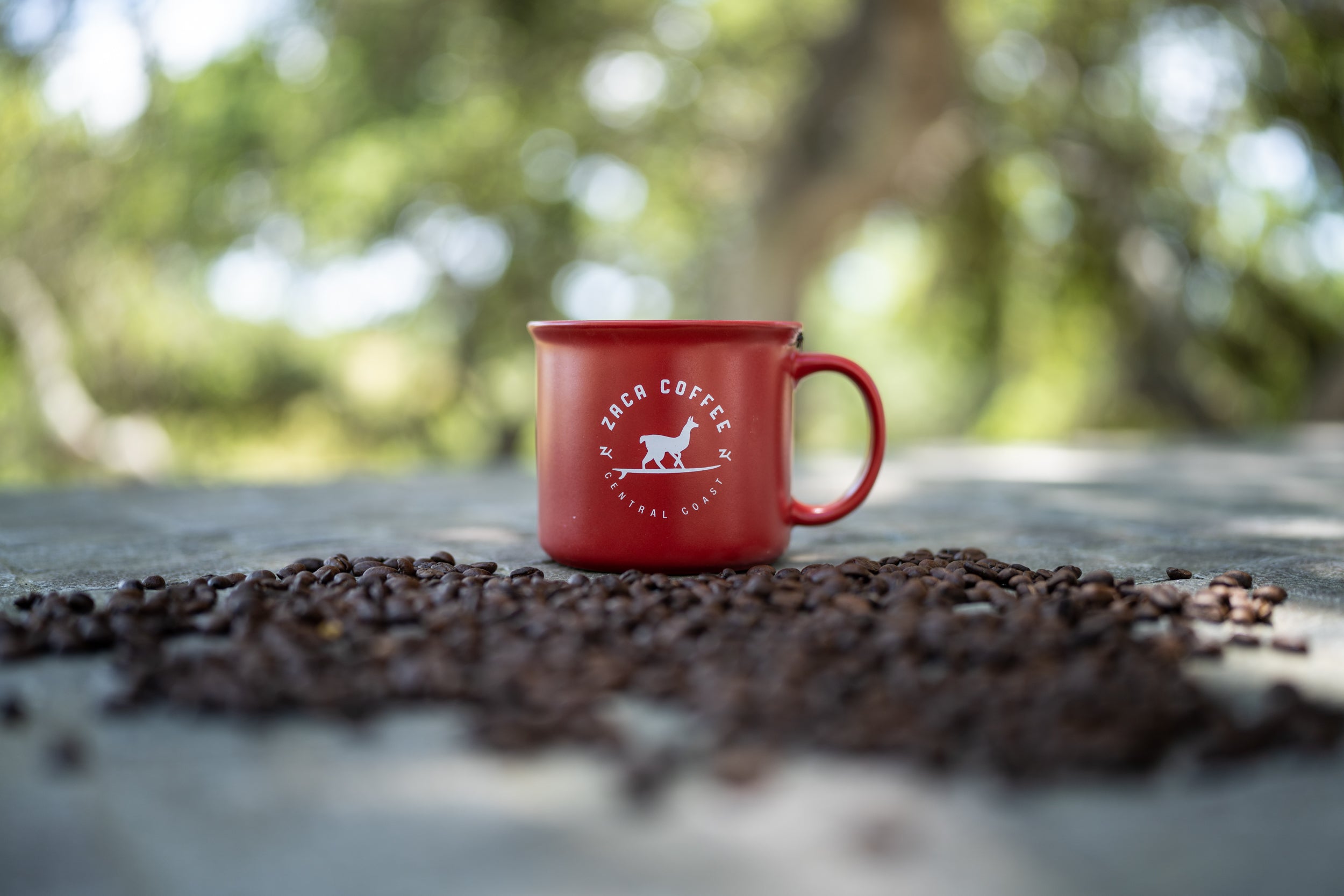 Zaca Coffee in Buellton, CA (4)