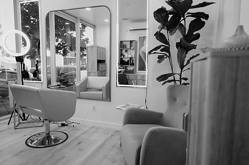 Poshed Beauty Bar | Egle Miciene | Hair Stylist in Beverly Hills, CA (3)