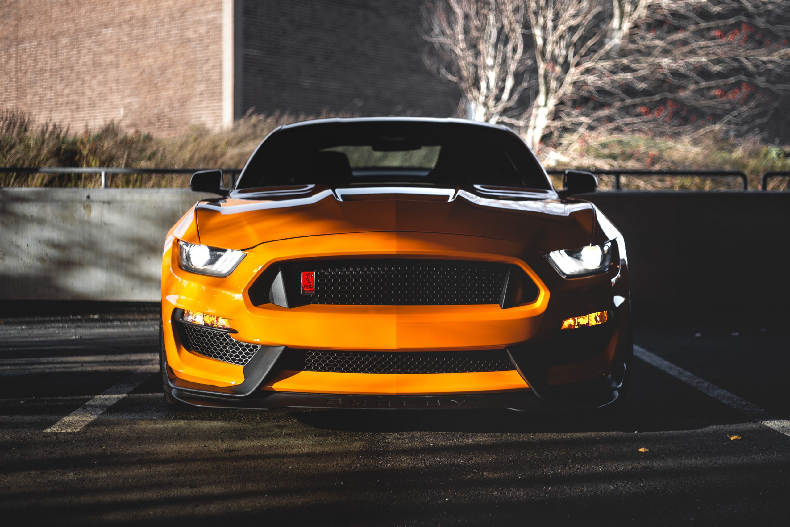 Flawless Finish Detailing in Pompton Lakes, NJ