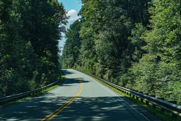 Wayne Hardee Law in Greenville, NC (4)