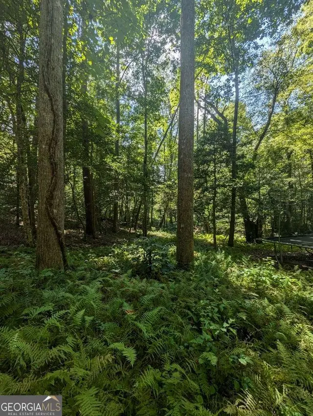 The Crawford Team, EV North Georgia Mountains in Sautee Nacoochee, GA (4)