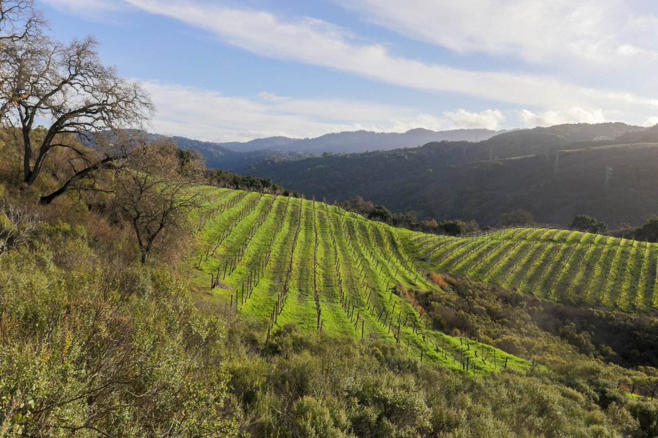 Invest SLO - Top Real Estate Agents DRE #02062620 in San Luis Obispo, CA (4)
