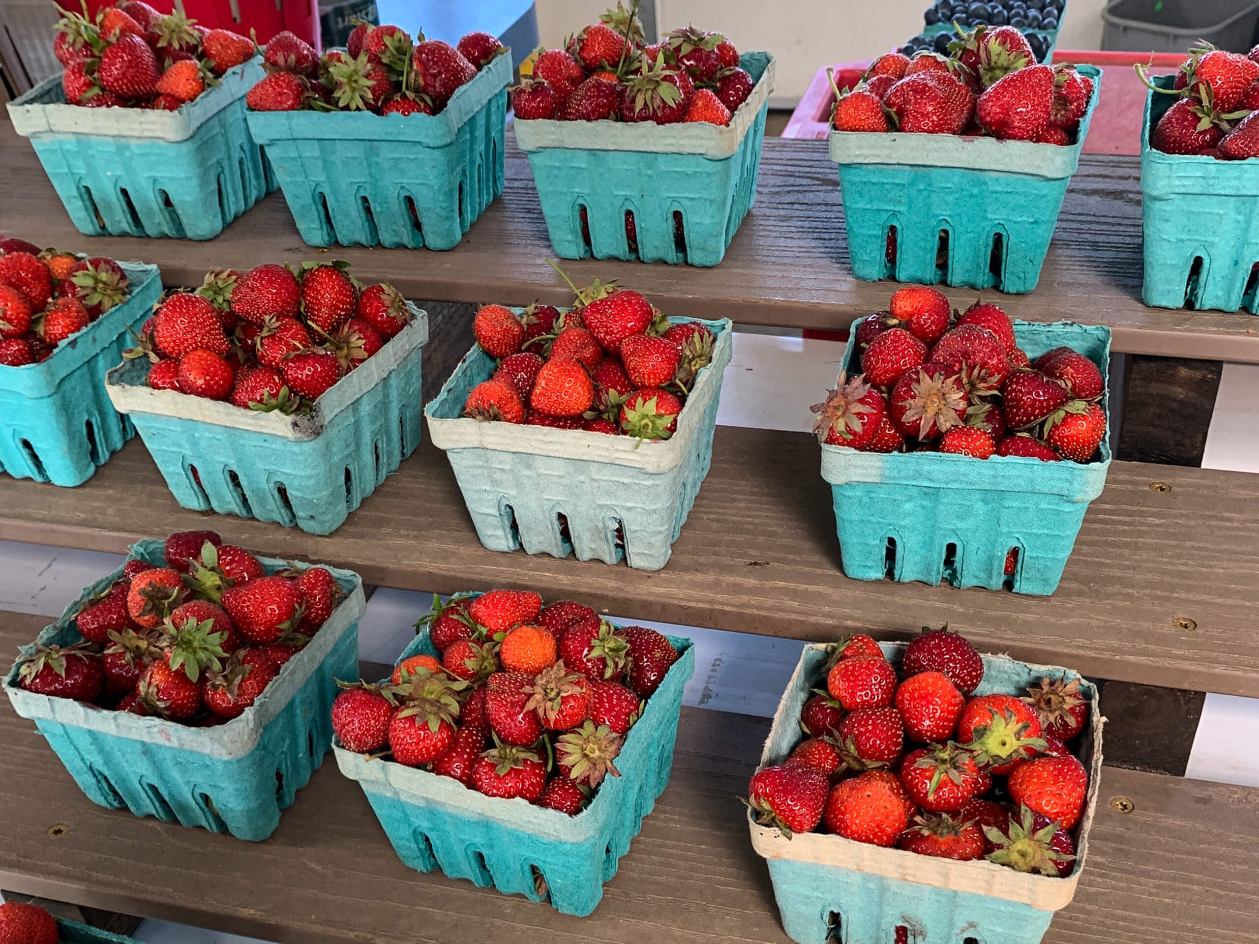 Maple Arch Farm Market in Parkesburg, PA (2)
