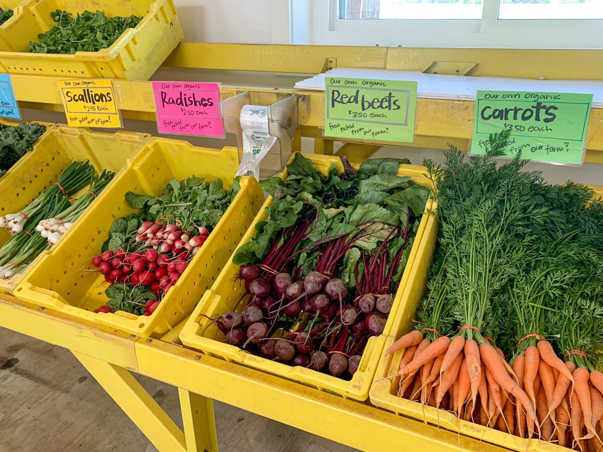 Maple Arch Farm Market in Parkesburg, PA (3)
