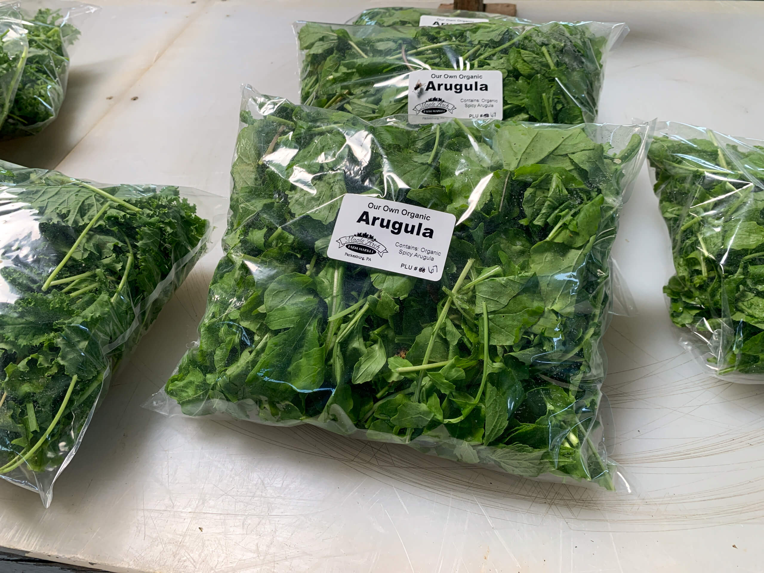Maple Arch Farm Market in Parkesburg, PA (6)