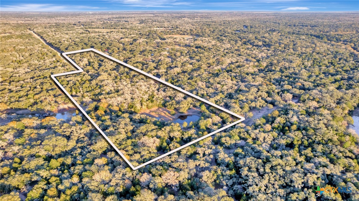 Melissa Orr, REALTOR® in Victoria, TX (4)