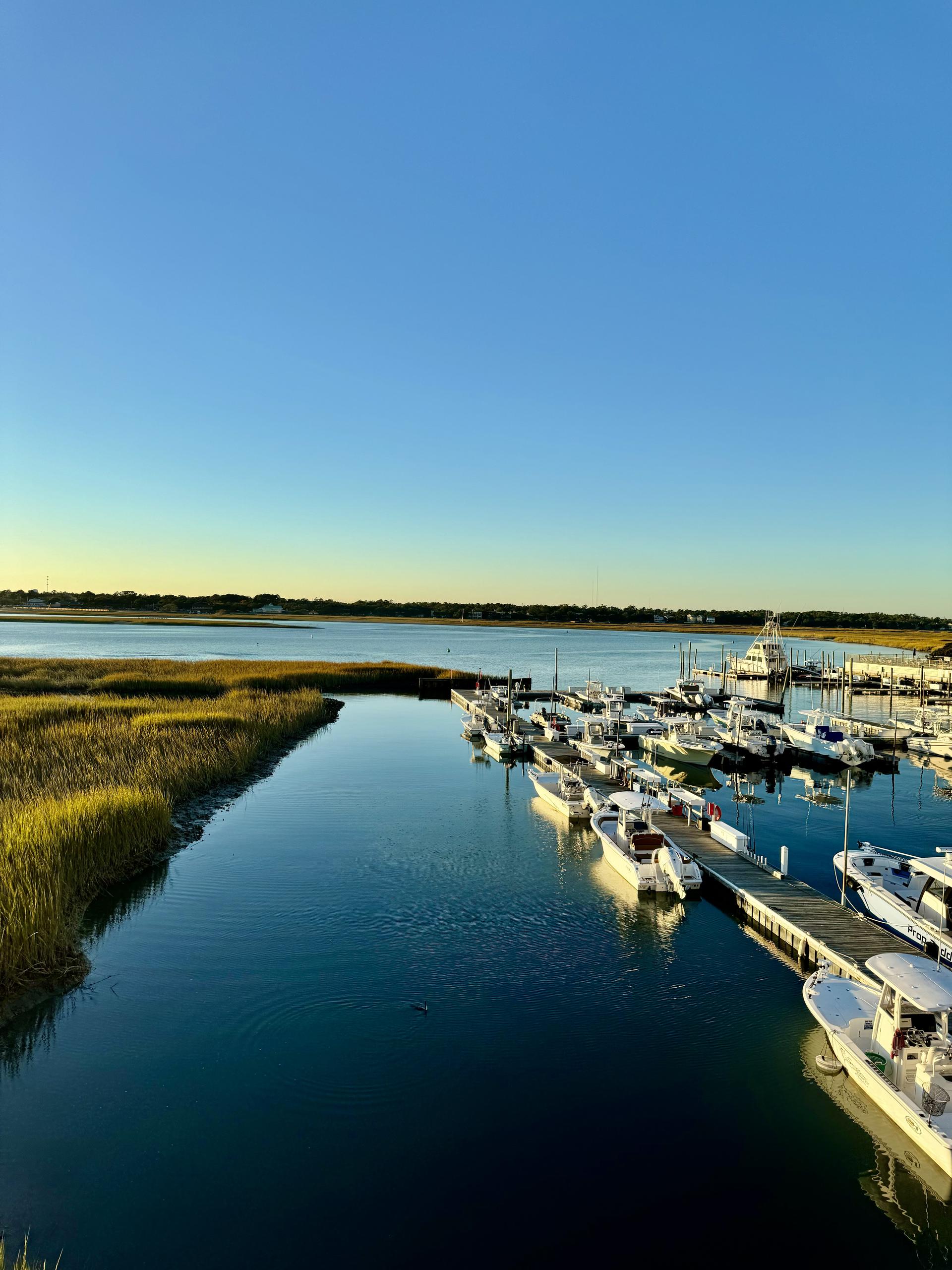 Welcome Home Realty - Pee Dee in Marion, SC (2)