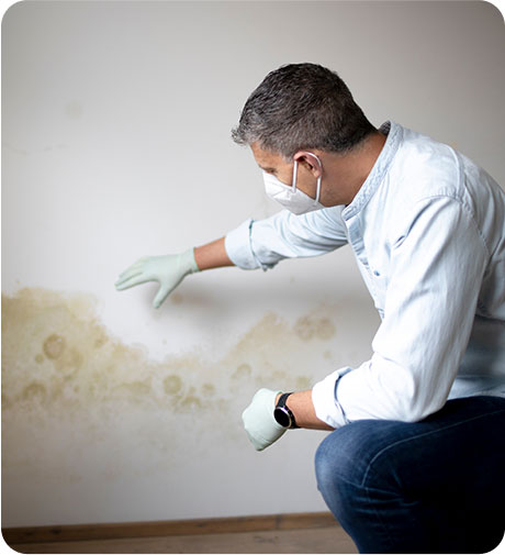 Lead and Mold Detectives in Roslyn Heights, NY (3)