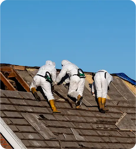 Lead and Mold Detectives in Roslyn Heights, NY (4)