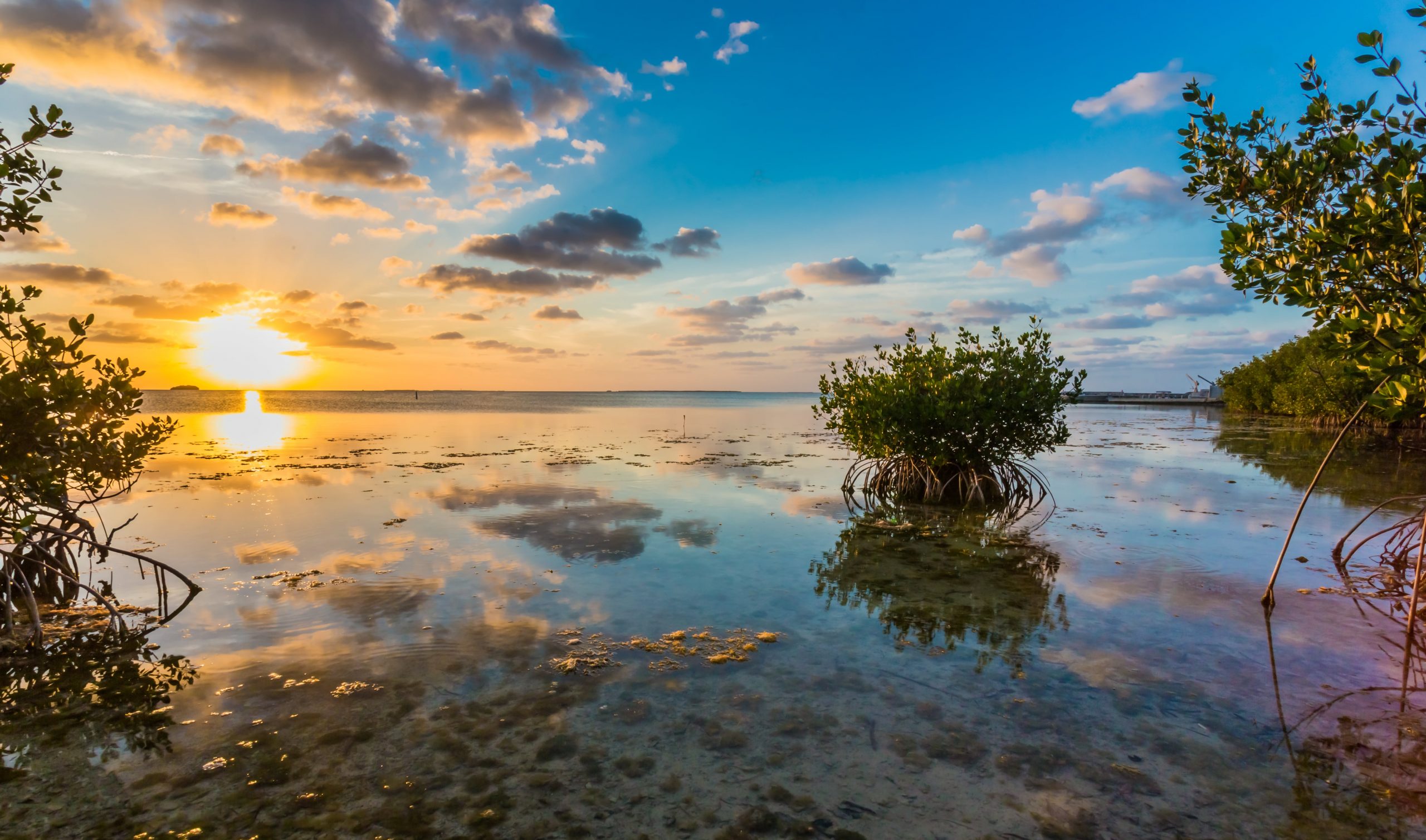 Sunshine City Law in Safety Harbor, FL (4)