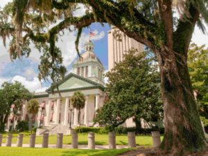 Sunshine City Law in Safety Harbor, FL (6)