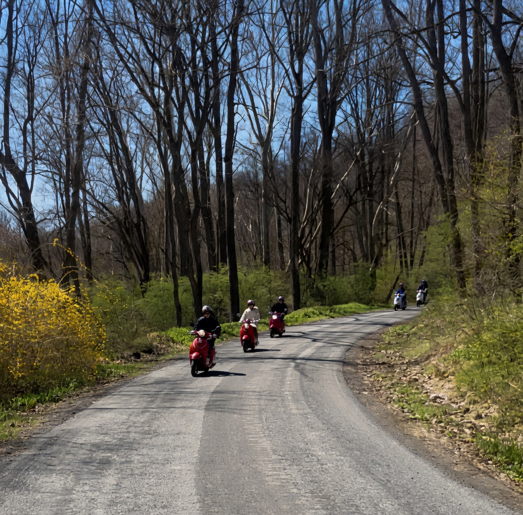 Strasburg Scooters & Tours in Strasburg, PA (3)