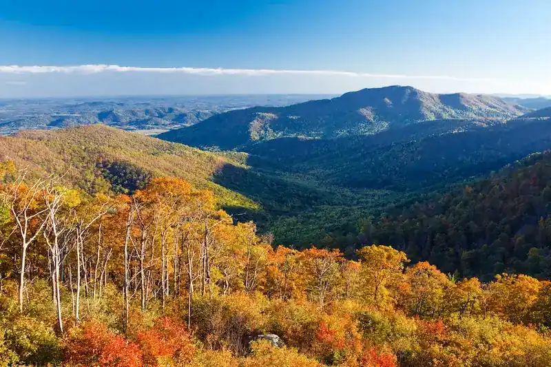 McClure Realty, Staunton, VA in Staunton, VA (5)