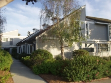 Seascape Realty in Carpinteria, CA (2)