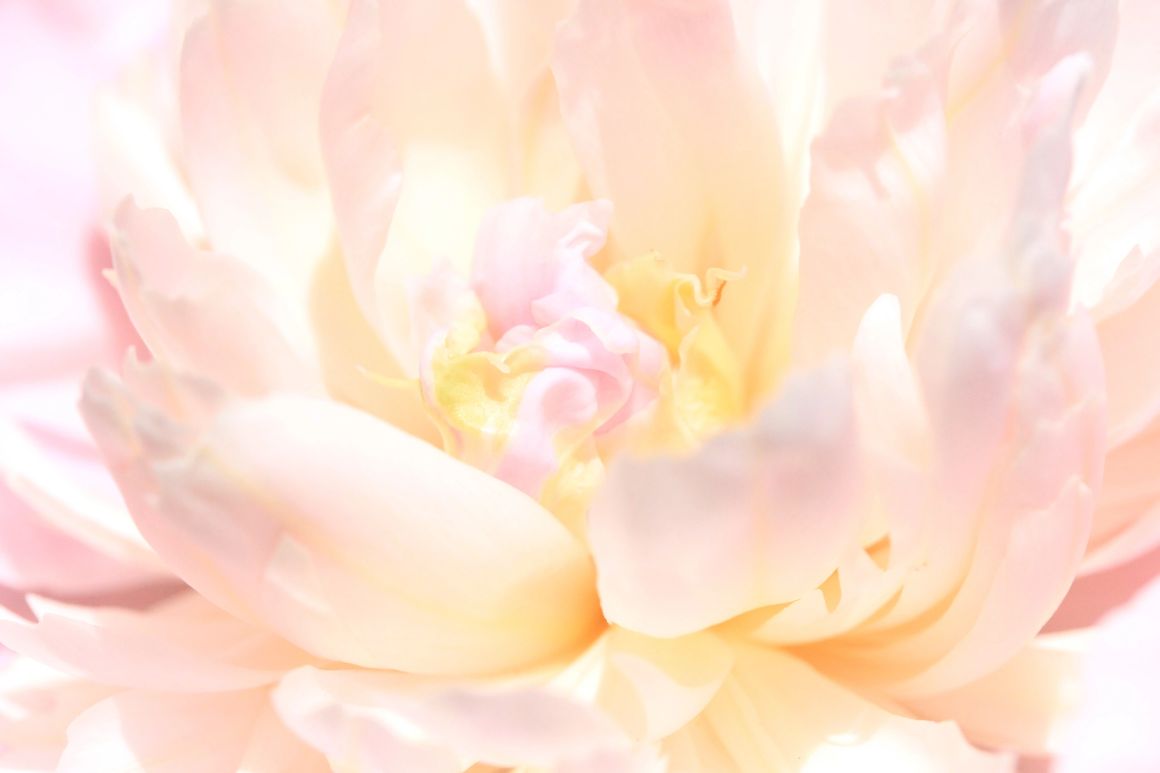Spiritual Beauty Center - Beauty from the inside out! Where transformation happens! By appointment. in Highlands, NJ (2)