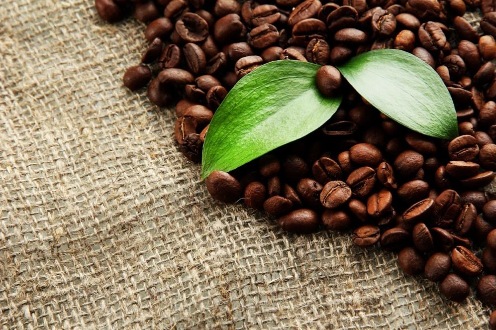 Island Roasters Coffee Company in New Smyrna Beach, FL