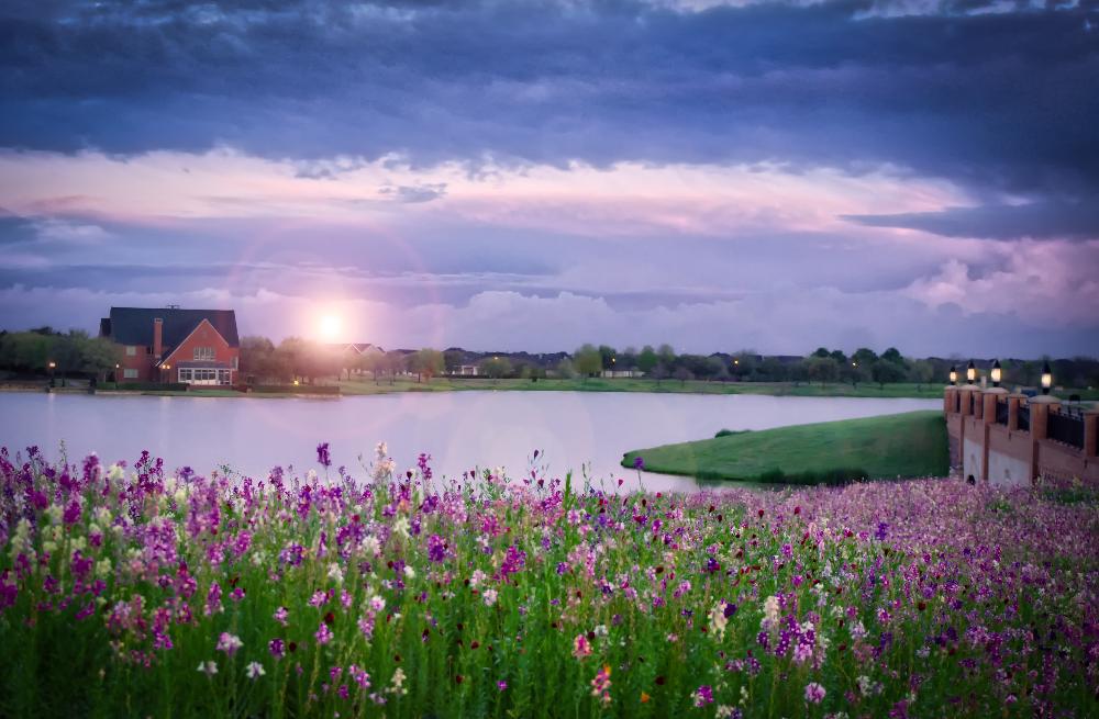 Cy-Fair Real Estate in Cypress, TX (3)