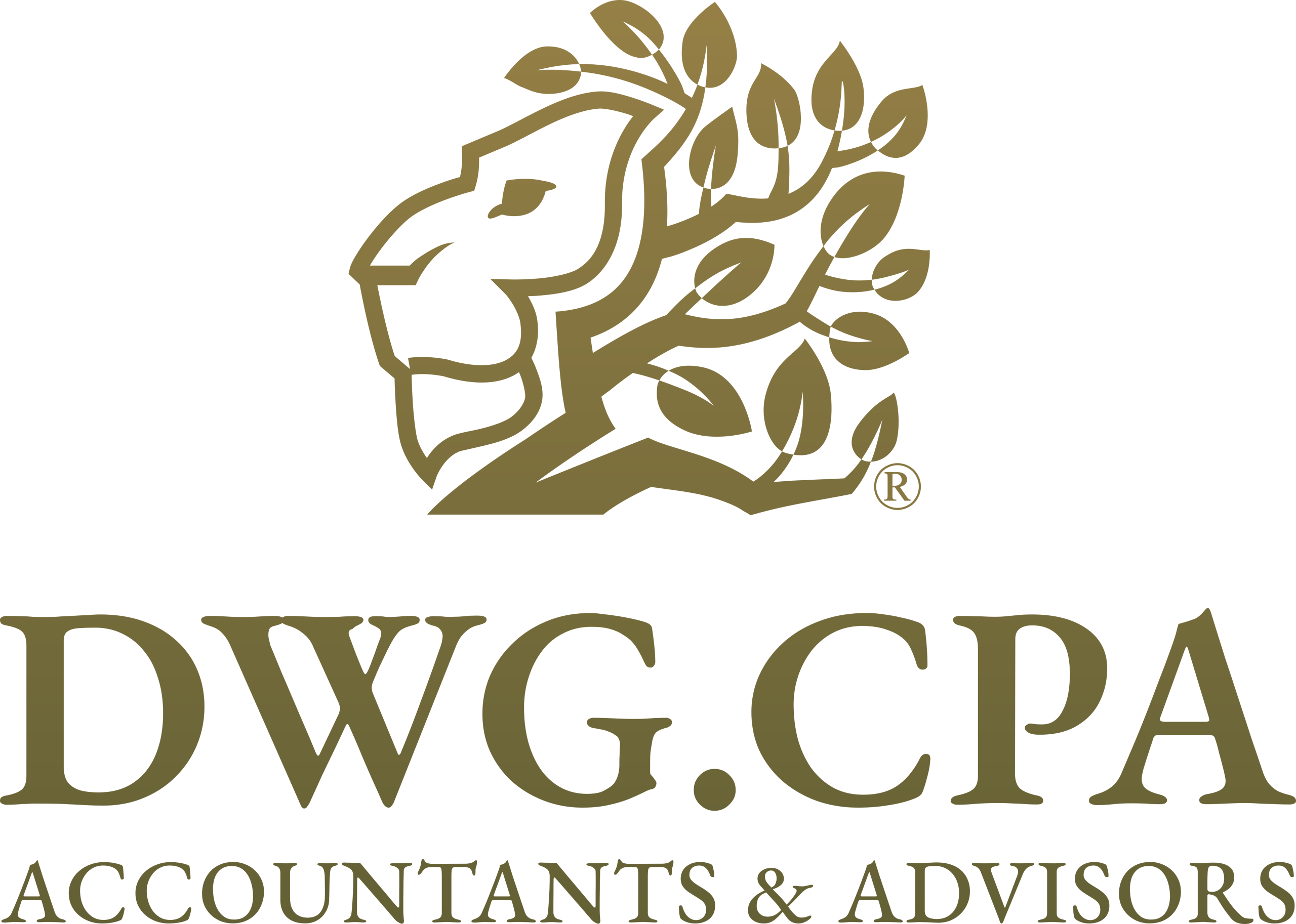 DWG CPA PLLC in Sugar Land, TX (4)