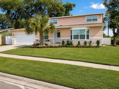 RealNet Brokerage in Tarpon Springs, FL