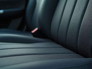1st Class Mobile Automotive Detailing in Brunswick, GA (3)