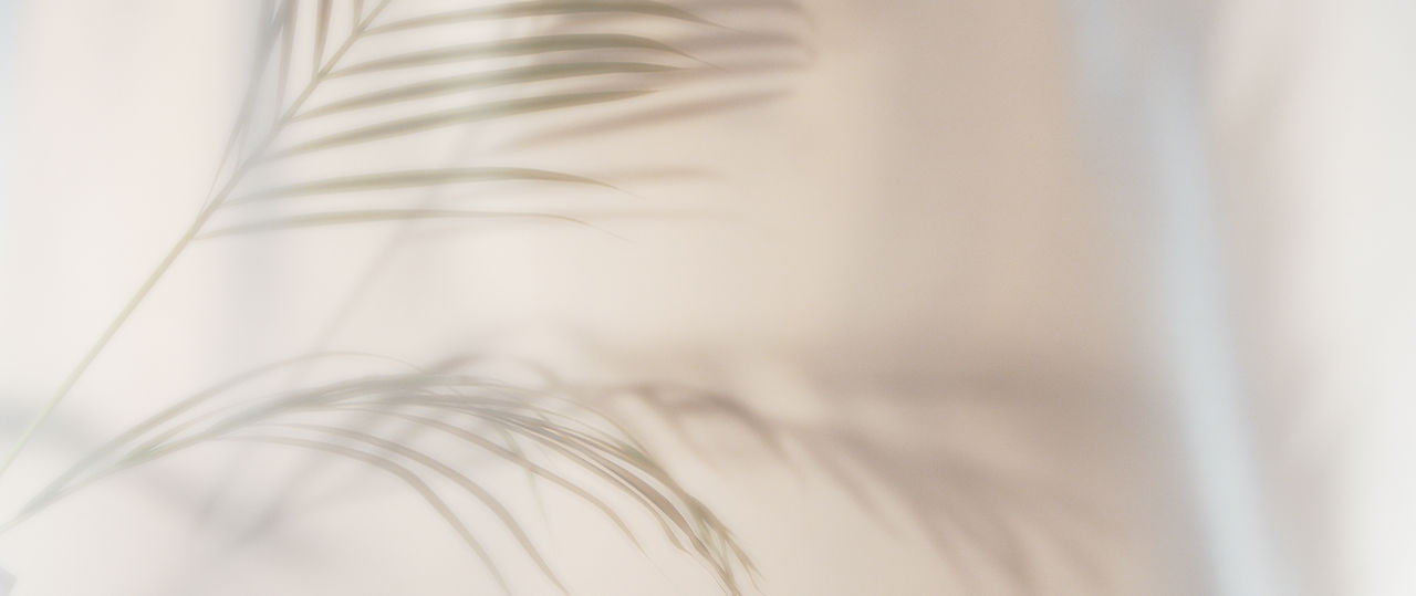 Bliss Skin Spa & Massage in Vermilion, OH (2)