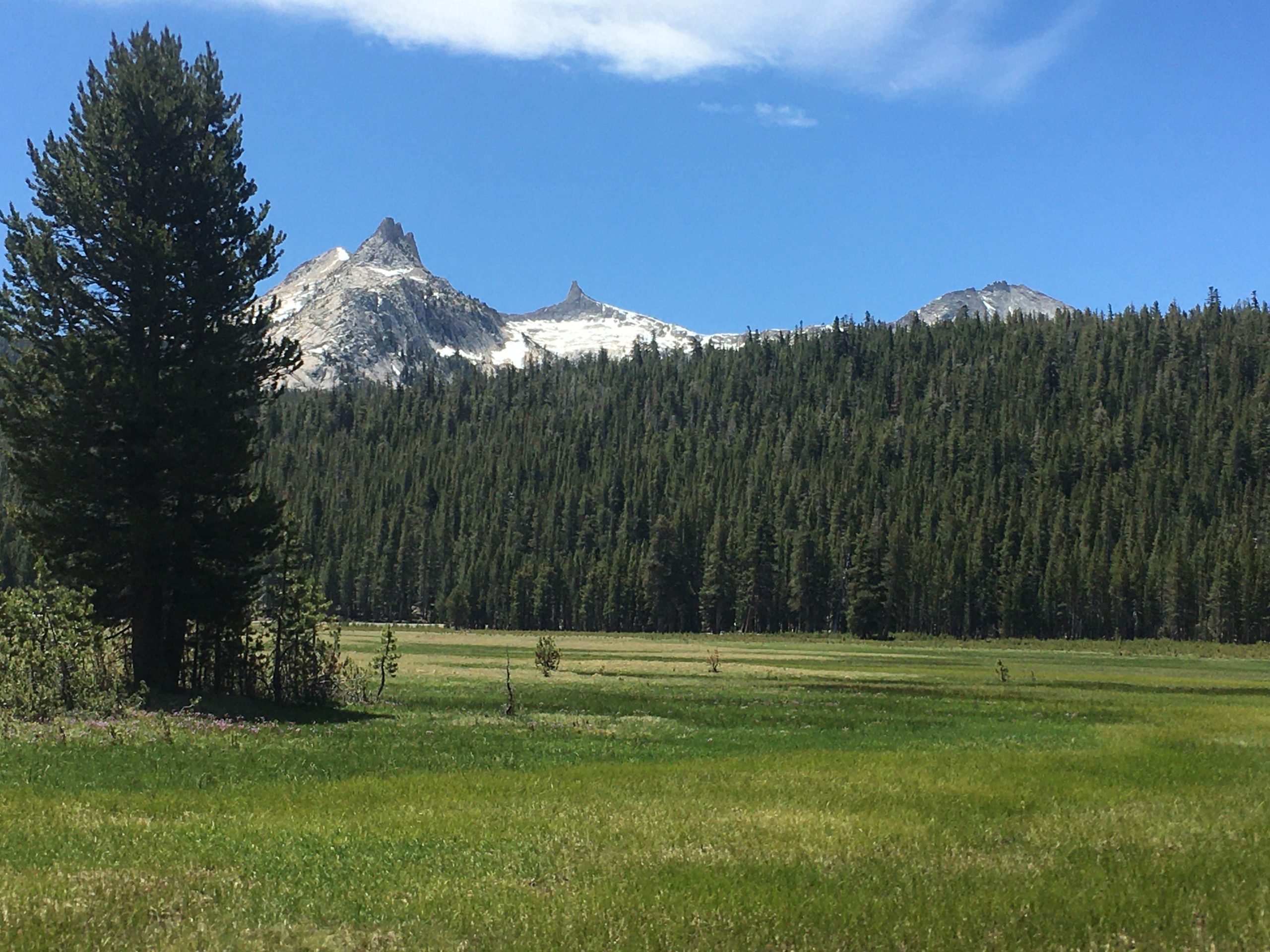 Riffel Real Estate in Mammoth Lakes, CA (2)