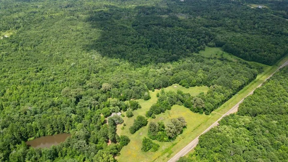 Texas Hunting Land LLC in Vernon, TX (3)