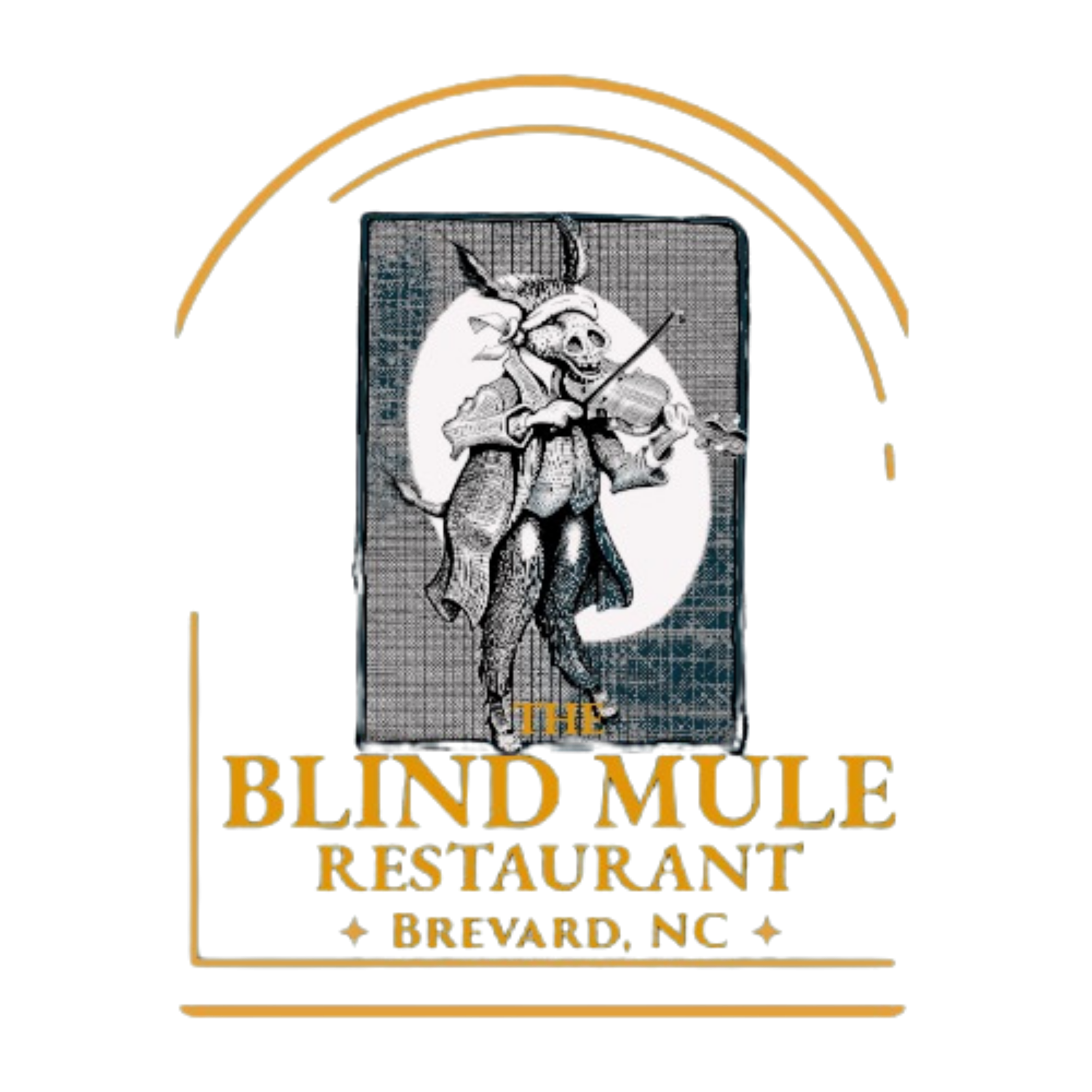 The Blind Mule Brevard in Brevard, NC (4)