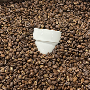 Black Powder Coffee in Mooresville, NC