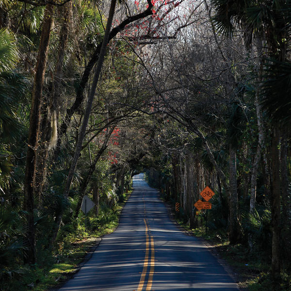 Tim Kennelly, Palm Coast Real Estate Agent in Palm Coast, FL (3)