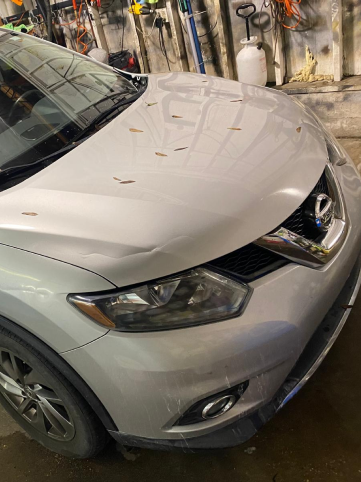 Pro-Chex Detail & Tint in Defuniak Springs, FL (4)