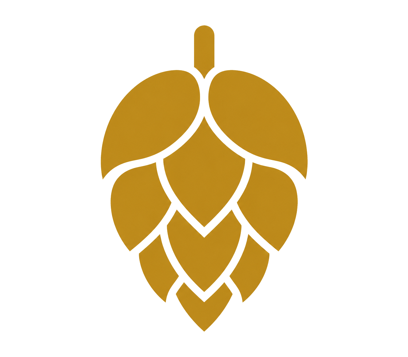 Ursus Brew Works in Charleston, WV (3)
