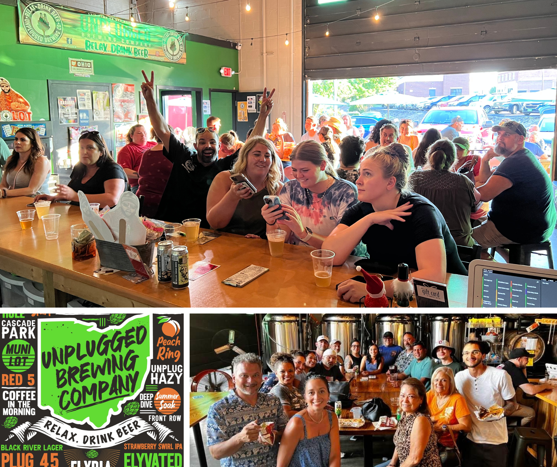 Unplugged Brewing Company in Elyria, OH (3)