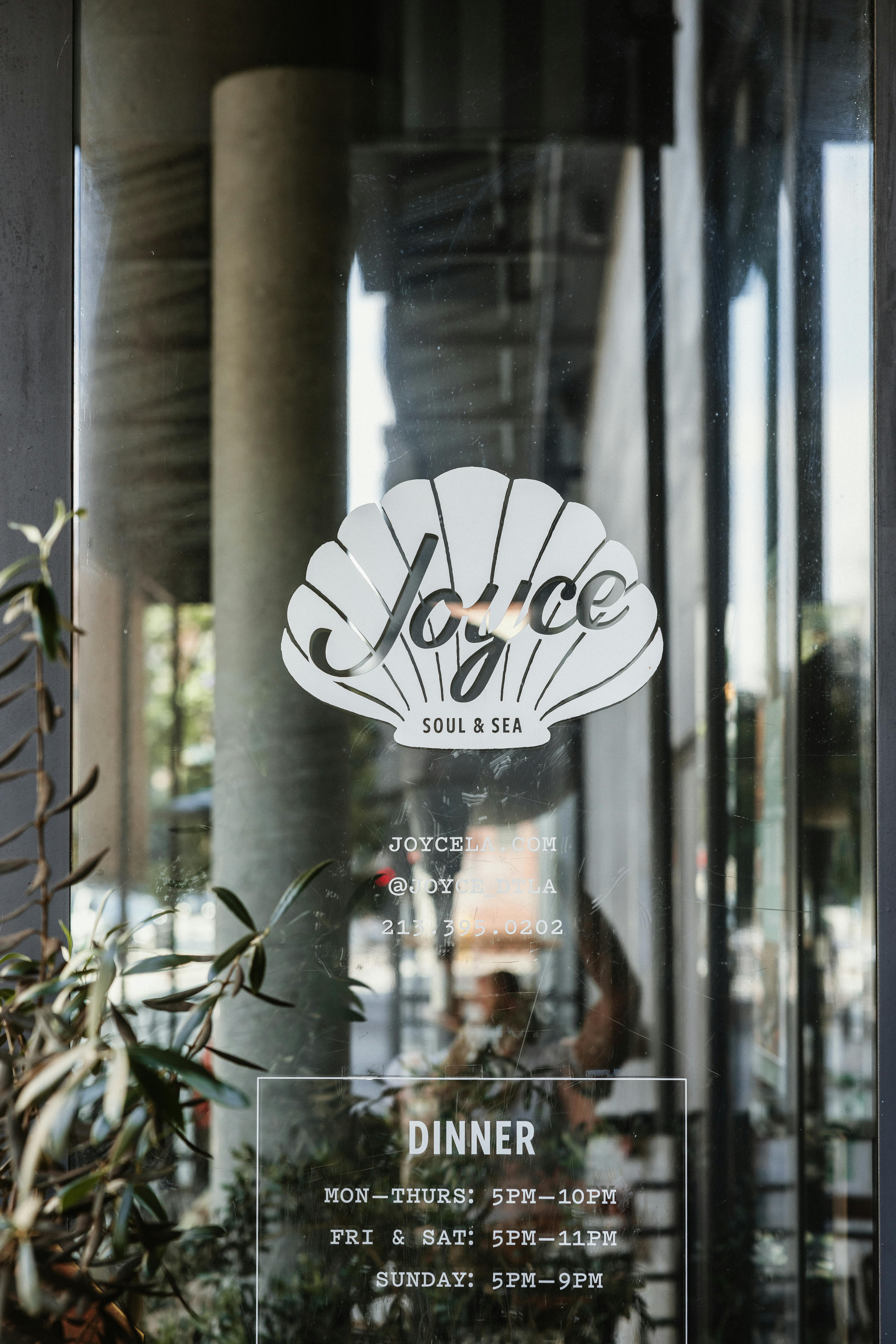 Joyce in Los Angeles, CA (2)