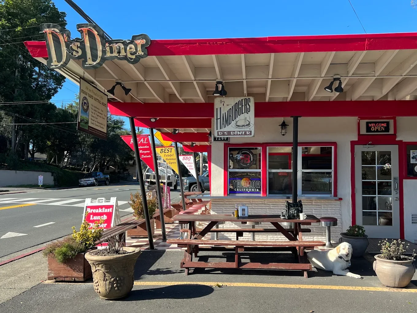 D's Diner Sebastopol in Sebastopol, CA (3)