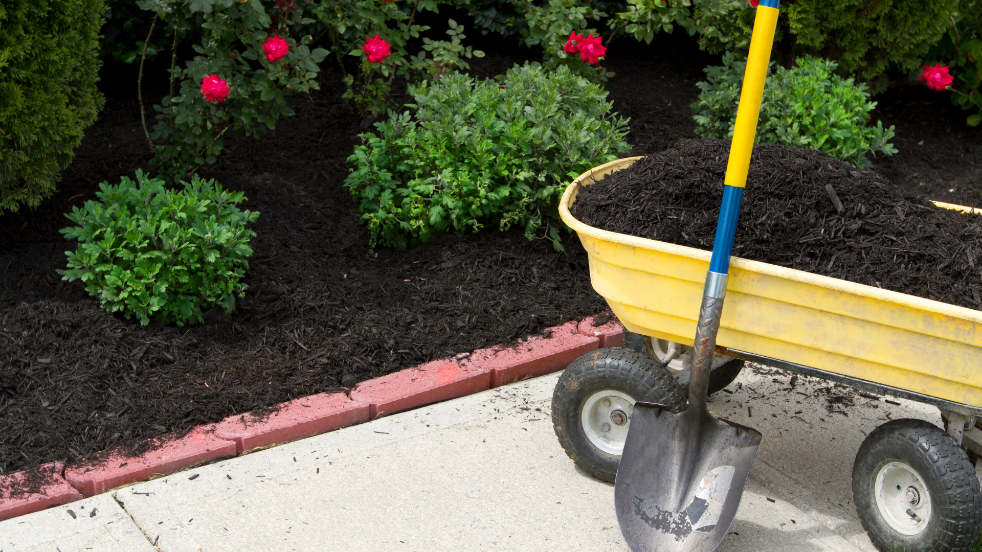 Buesching's Peat Moss & Mulch, Inc. in Fort Wayne, IN (2)