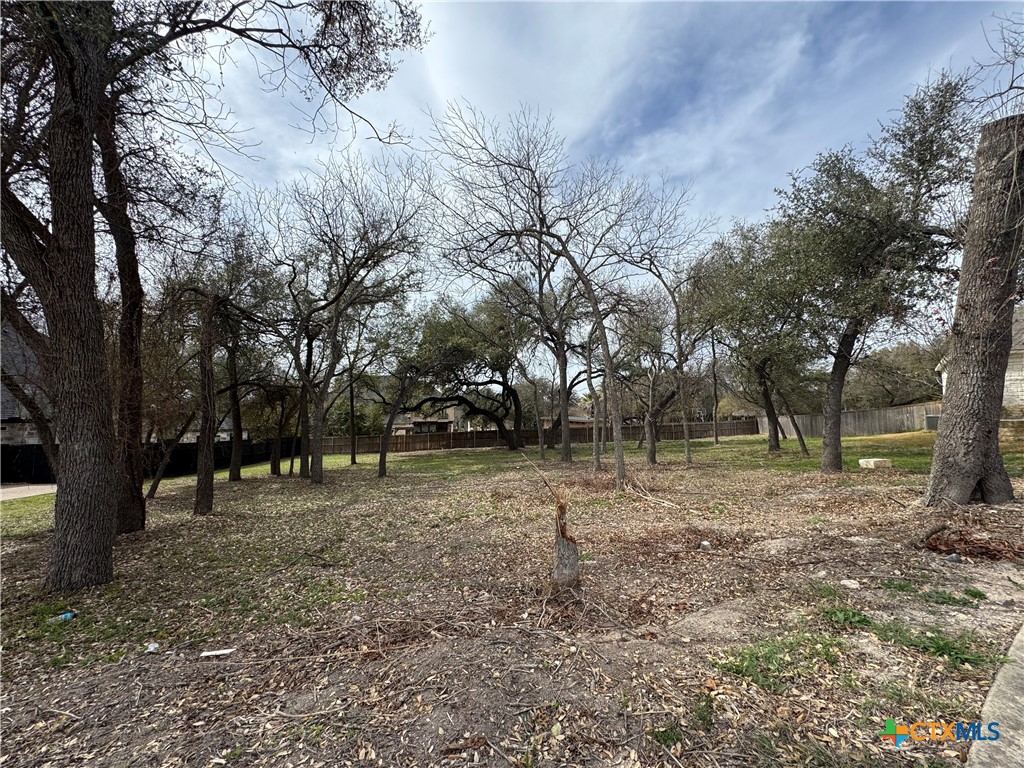 Ali Thompson, Home in Texas Team in Temple, TX (2)