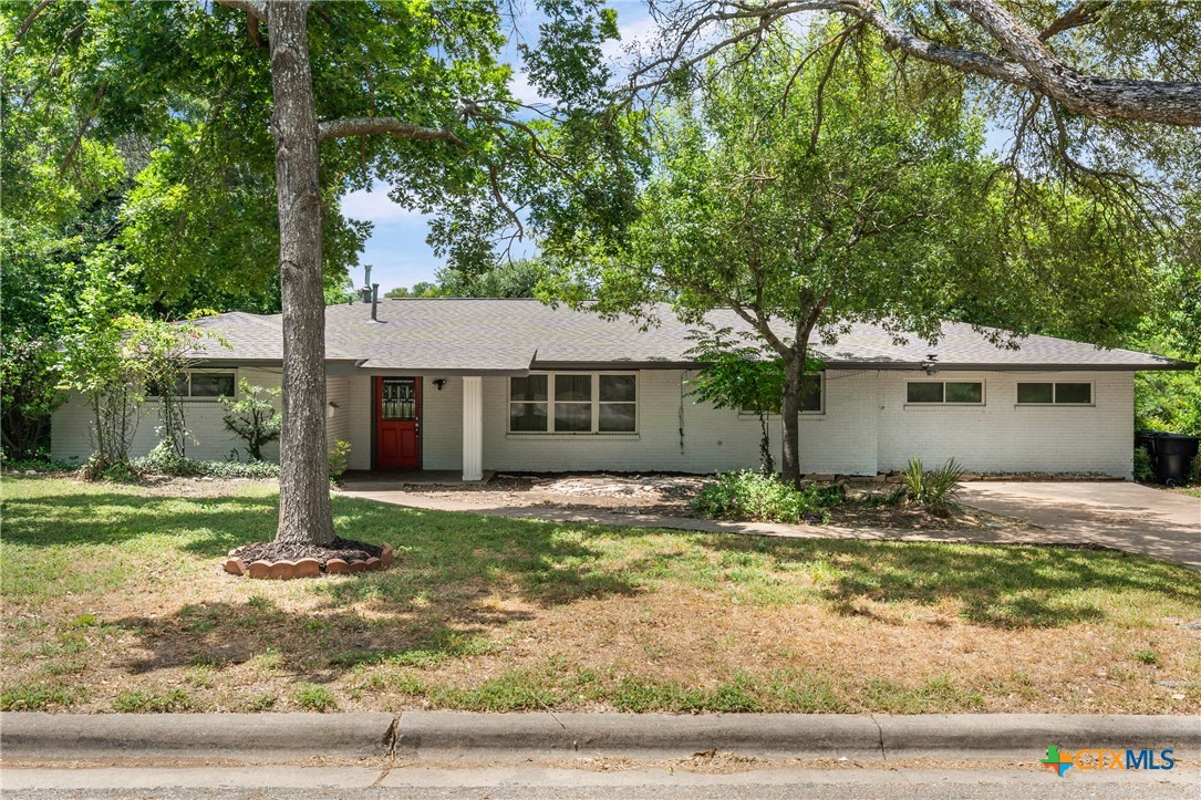 Ali Thompson, Home in Texas Team in Temple, TX (4)