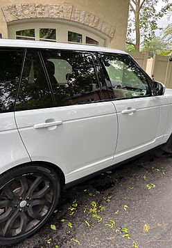 DNA Detailing in Northbrook, IL (6)