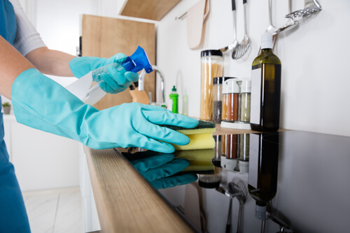 Design Your Cleaning in Cooper City, FL (4)