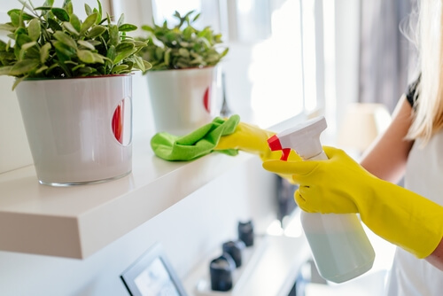 Design Your Cleaning in Cooper City, FL (6)