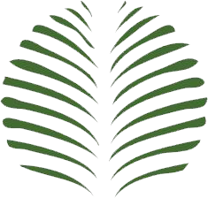 Island Retreat Spa & Salon in Bald Head Island, NC (4)