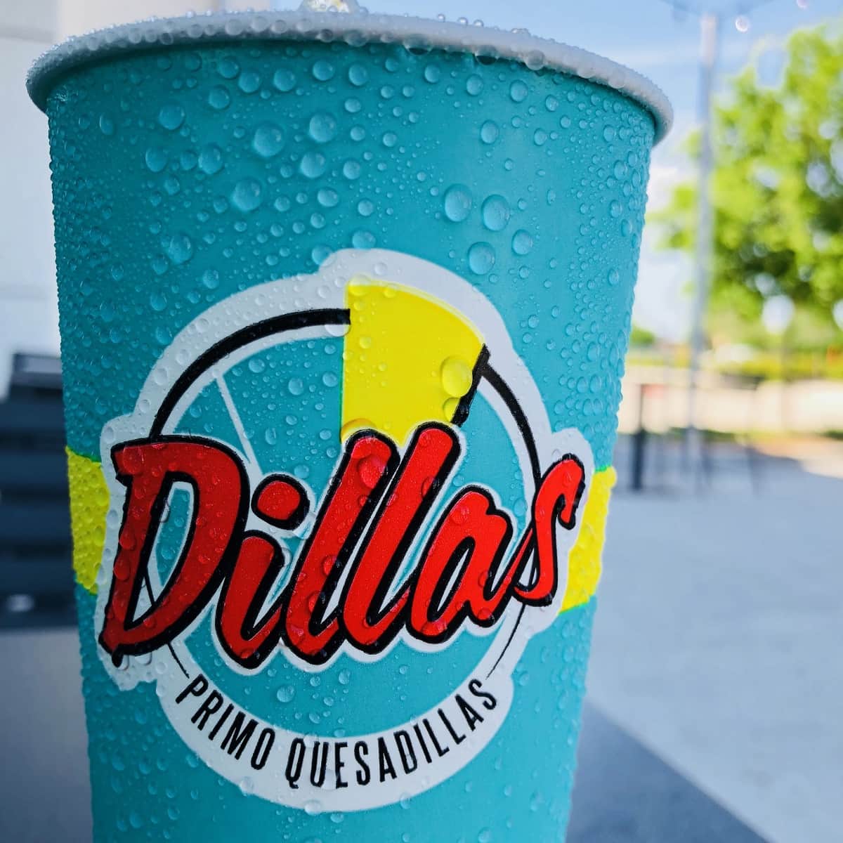 Dillas Quesadillas in Nacogdoches, TX (2)