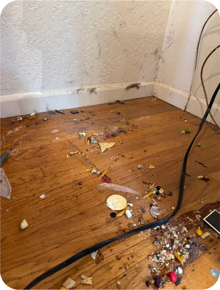 Sunlight Cleaning Services in Oakland, CA (2)