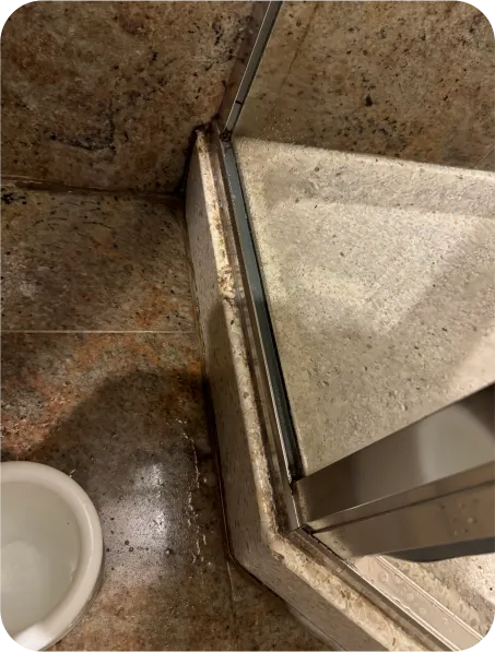 Sunlight Cleaning Services in Oakland, CA (3)